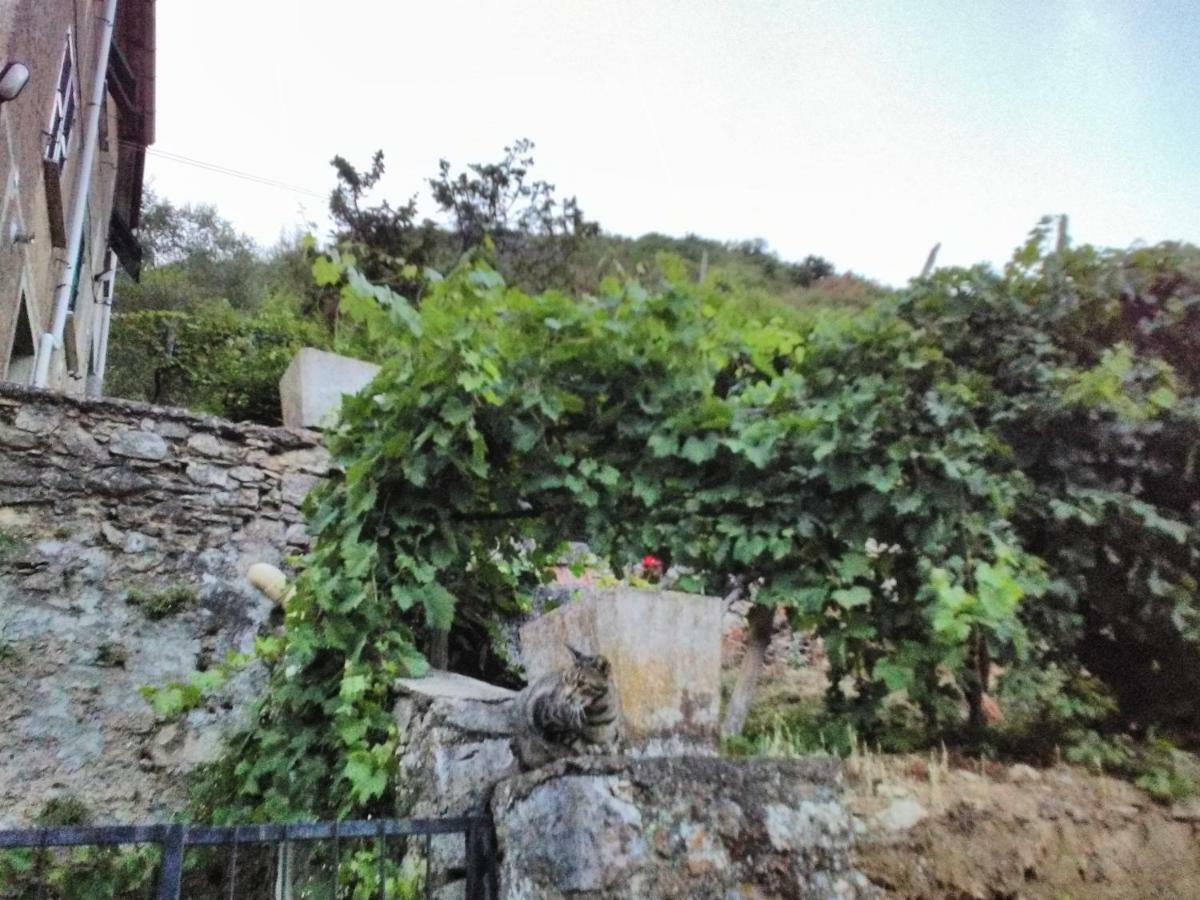 Casa Quaratica Διαμέρισμα Riccο del Golfo di Spezia Εξωτερικό φωτογραφία